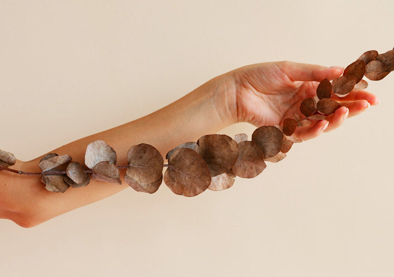 Taller Cacao