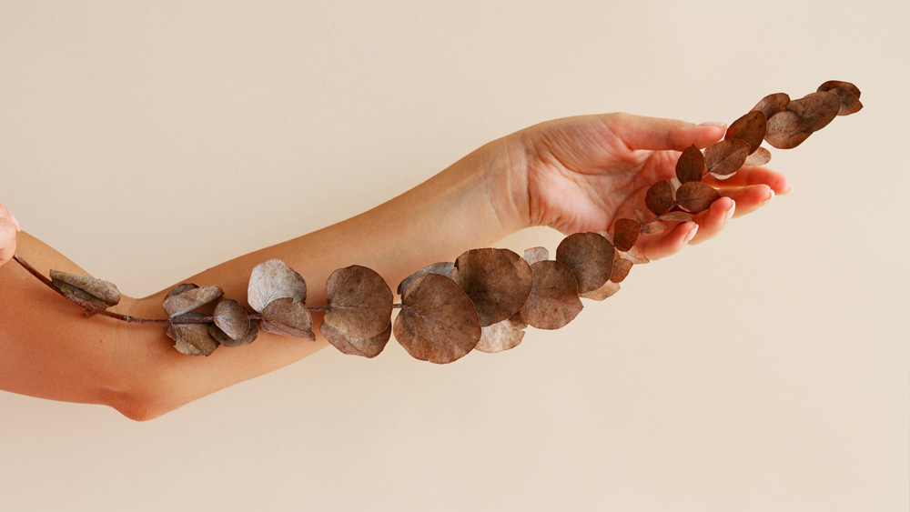 Taller Cacao